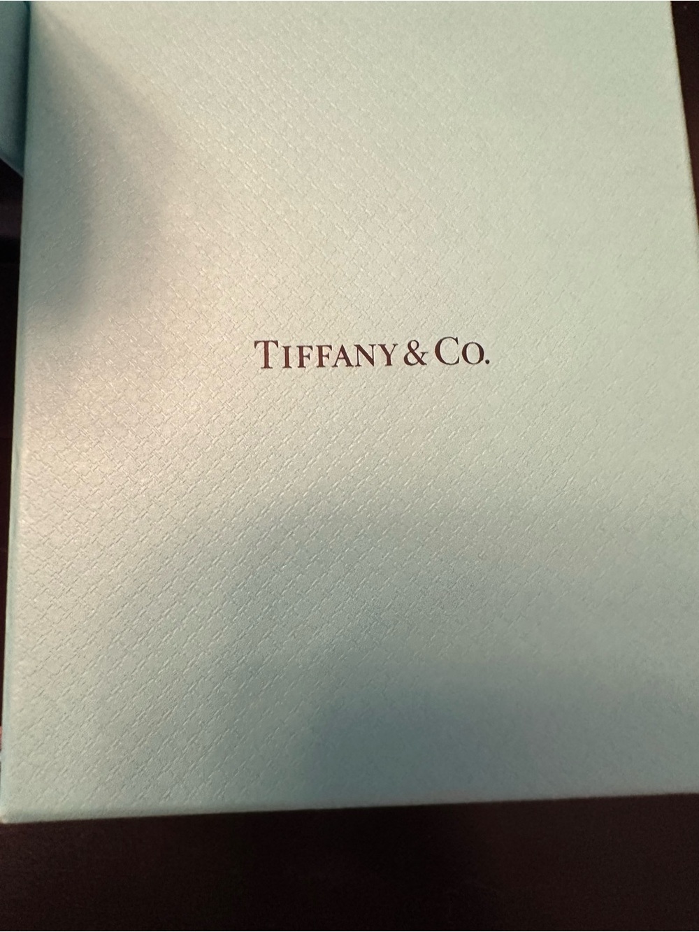 AUTHENTIC Tiffany & Co. Peretti .17 Diamonds by the Yard 16” Silver Pendant - Picture 15 of 15